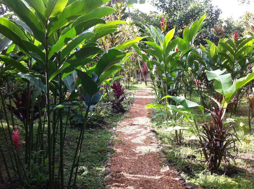 Finca Verde Lodge Bijagua Exterior photo